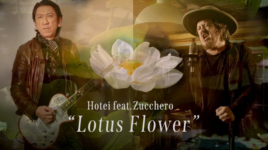 Zucchero talks about the collaboration with Hotei.
